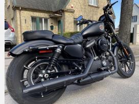 Harley-Davidson Sportster 883cc, čioperiai / kruizeriai / custom