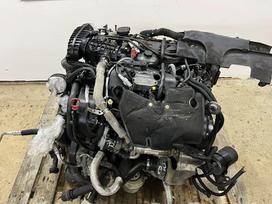 Jaguar XF, 7G, variklis