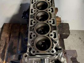 Ford Transit, YNR6, variklis