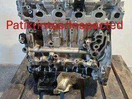 Ford Transit, ZDGA, variklis