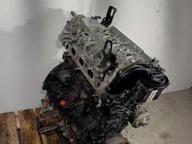 Nissan Navara, YS23D276, engine