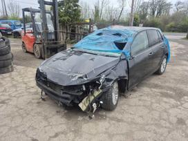 Volkswagen Golf įvairios dalys įvairių automobilių различные детали от разл