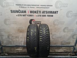 Nexen Winguard Snow G WH2, žieminės 175/65 R15