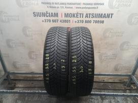 Semperit Speed-Grip 3, universalios 195/55 R20