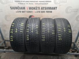 Triangle PL01, winter 215/55 R17