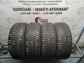 Dunlop Winter Sport 5, всесезонные 205/55 R17