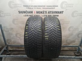 Goodyear UltraGrip Performance  gen1, winter 255/55 R19