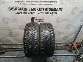 Nexen Winguard Sport 2, universalios 215/50 R17