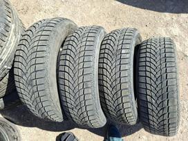 Sava, all-season 195/65 R15