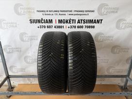 Michelin CrossClimate 2 (VOL), vissezonas 255/55 R19