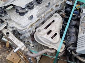 Toyota Prius variklis