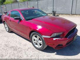 Ford Mustang, Купе (coupe)