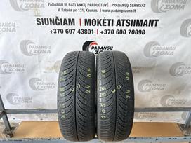 -Kita- Grenlander Greenwing A/S, universalios 205/55 R16
