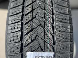 Zmax WINTERHAWKE II; SIUNČIAME, winter 255/55 R19