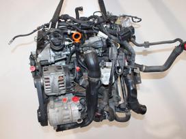 Volkswagen Passat, CFF, variklis
