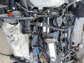 Mercedes-Benz B klasė, 270910, Dalis galime pristatyti ir į kitus miestus