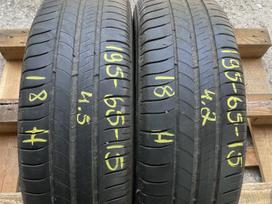 Michelin Energy Saver+, vasarinės 195/65 R15