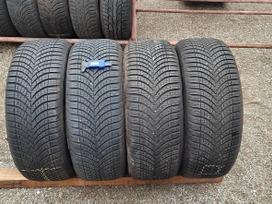 Goodyear Vector 4 season M+S gen3, universalios 205/55 R16