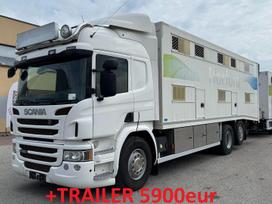 Scania P450, скотовозы
