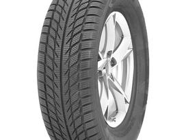Goodride SW608, winter 205/55 R16