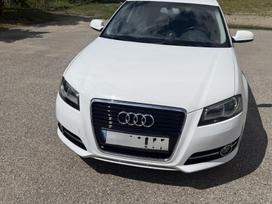 Audi A3, 2.0 l., hečbekas