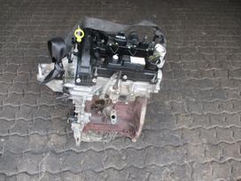 Ford Focus Variklis 1 0t m1da