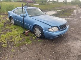 Mercedes-benz Sl500 dalimis. Dalimis yra