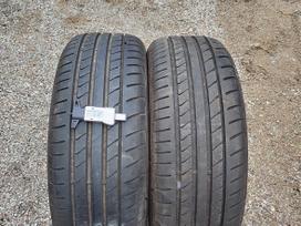 Dunlop Bluresponse LLR, vasarinės 205/55 R16