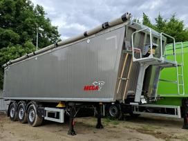 Mega Light, savivartės