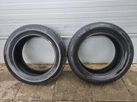 Barum Bravuris 5HM, summer 195/60 R16