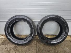 Firestone Roadhawk, vasarinės 175/65 R15