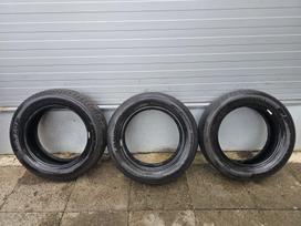 Dunlop Sport Fastresponse, vasarinės 175/65 R15