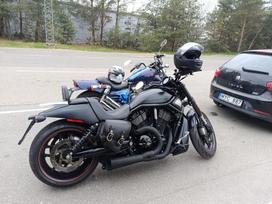 Harley-Davidson VRSCDX  1250cc, čioperiai / kruizeriai / custom