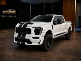 Ford F-150, 5.0 l., pikapas
