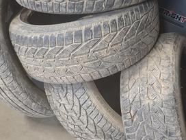 Tigar, all-season 225/45 R17