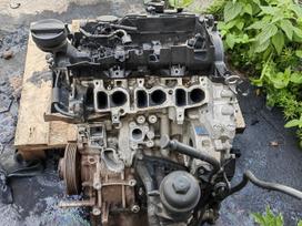 BMW 1 serija, b37d15a, Defektas prasisuka