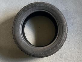 Michelin Alpin 5 DT, winter 205/55 R16