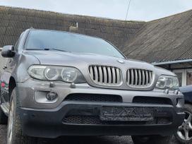 BMW X5 dalimis