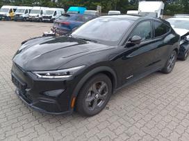 Ford Mustang Mach-E, Внедорожник / Кроссовер