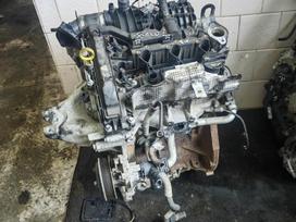 Ford Fiesta, Defektas, Defektas prasisuka