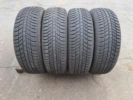 Continental Wintercontact Ts870 2025',