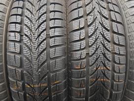 Platin Pr50 winter, winter 175/65 R15