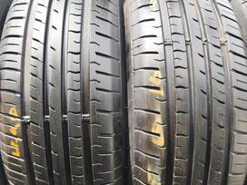 ARIVO Premio arzero, summer 205/60 R16