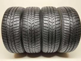 Barum Polaris 5 2020m, зимние 195/55 R16