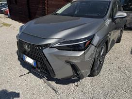 Lexus NX 450h+, Внедорожник / Кроссовер