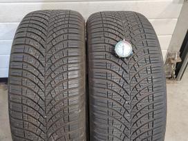 Goodyear Vector 4 season M+S gen3, universalios 205/50 R17