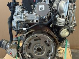 Ford Ranger, Yn2x, Parduodamas variklis nuo