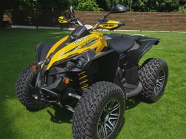 Can-Am Renegade 500cc, keturračiai