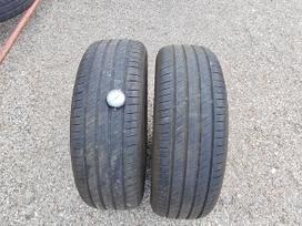 Nexen N fera Primus, vasarinės 205/60 R16