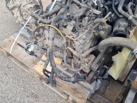 Nissan Navara, V9X, differential, gearbox, engine